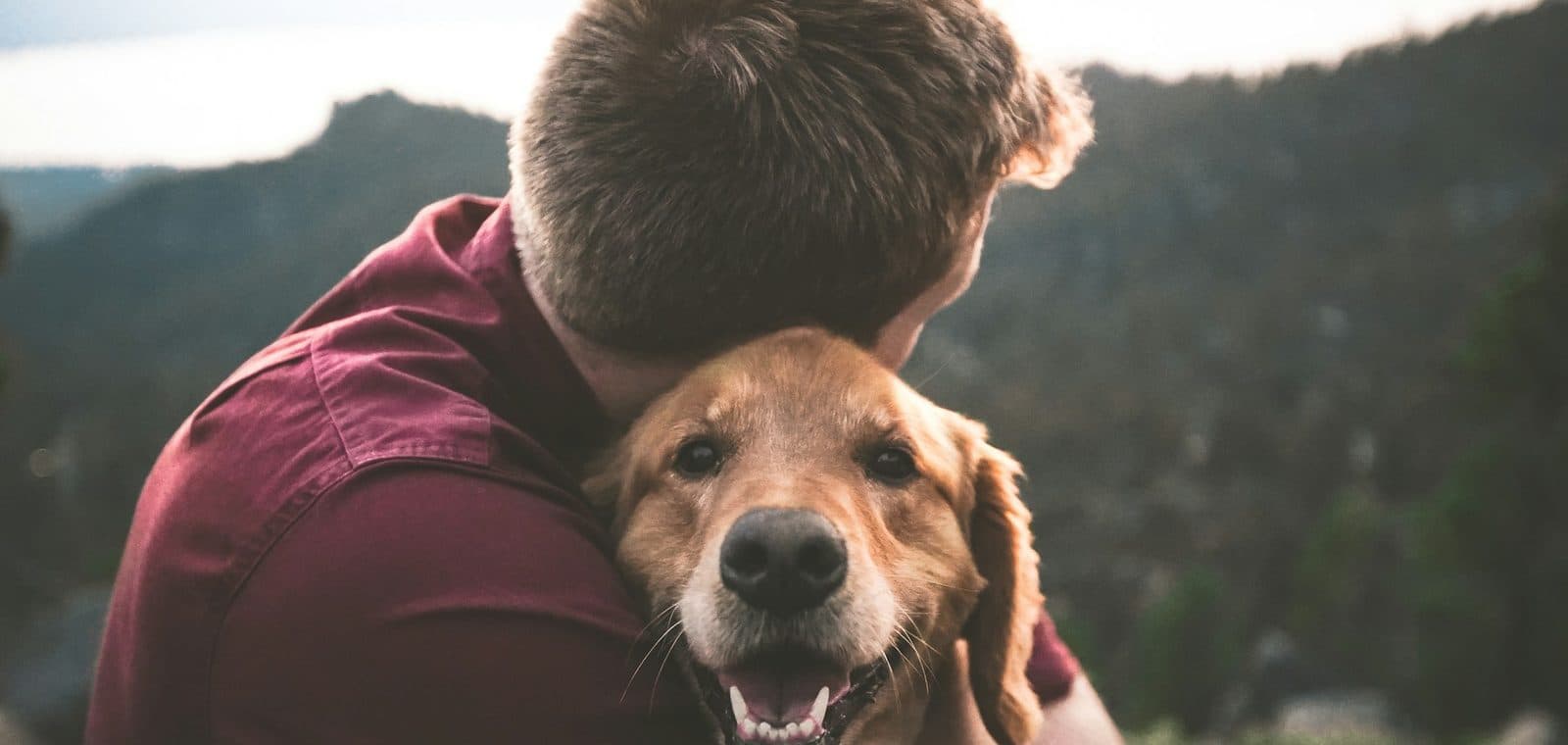 Un bénévole serre un chien dans ses bras