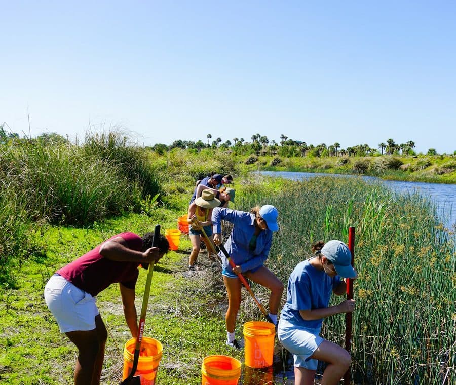 Des bénévoles plantent des jeunes pousses au bord d'une rivière